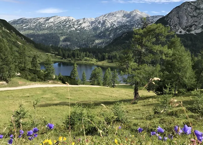 In 42010 Appartement *